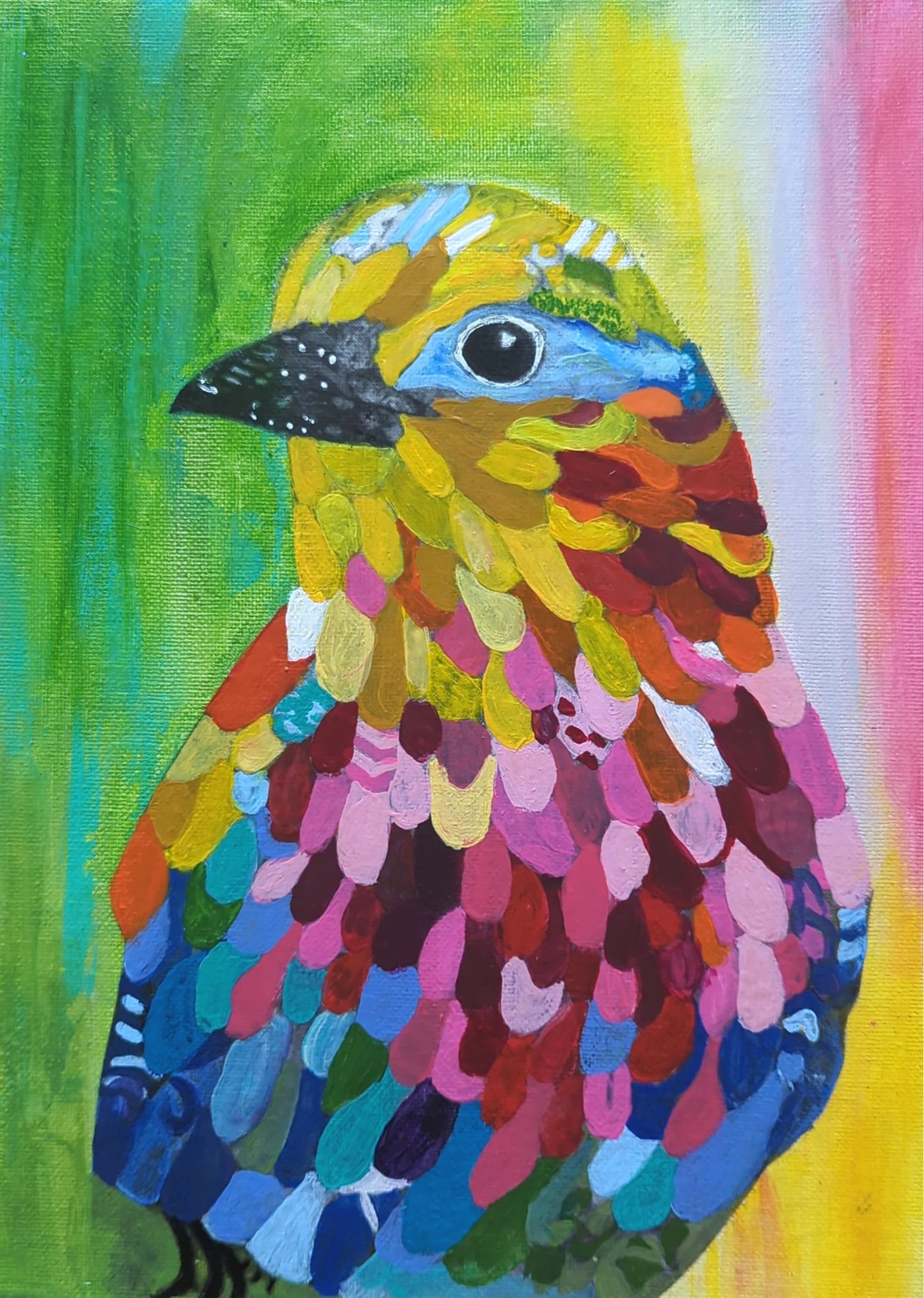 Colourful Feathers Bird