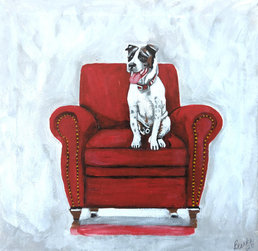 Dog on Red Chair