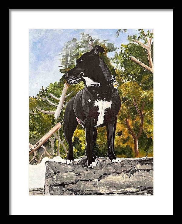 Alfie - Framed Print