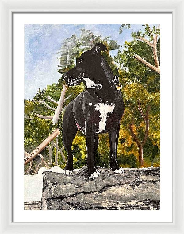 Alfie - Framed Print