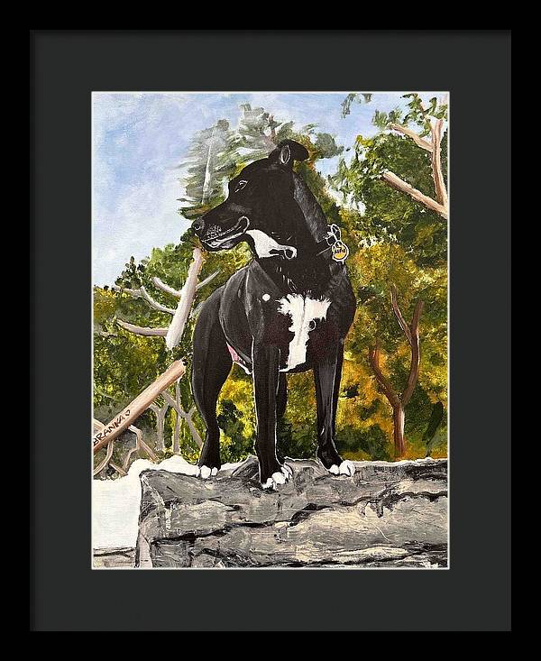 Alfie - Framed Print