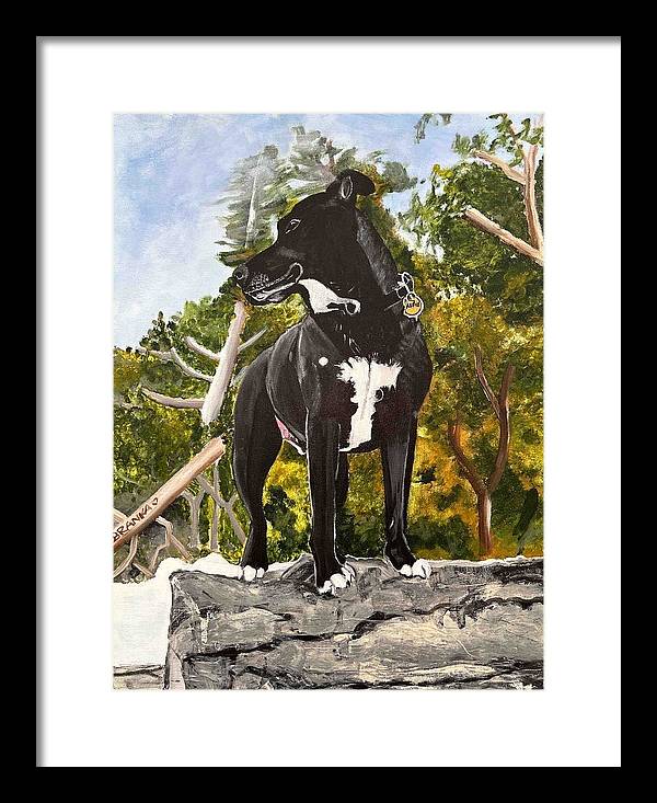 Alfie - Framed Print