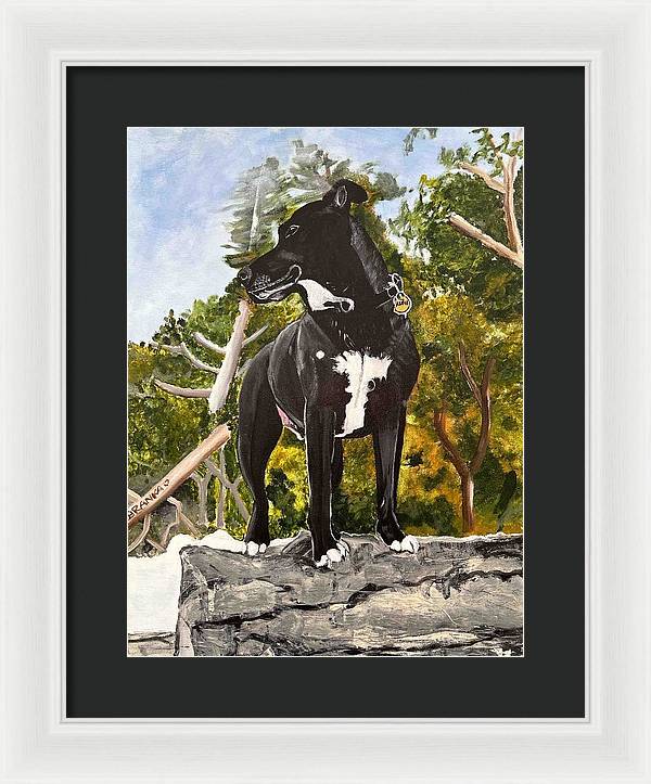 Alfie - Framed Print