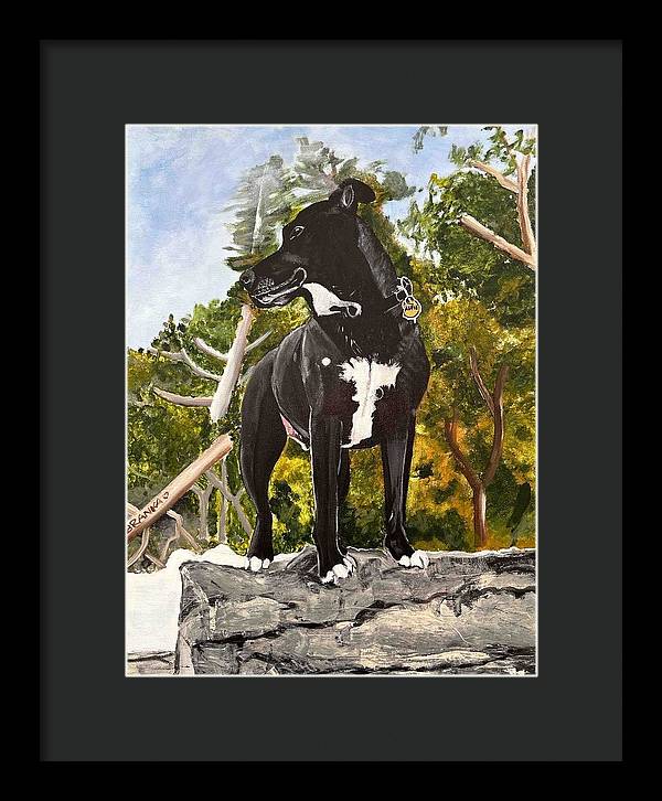 Alfie - Framed Print