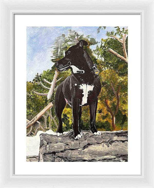 Alfie - Framed Print