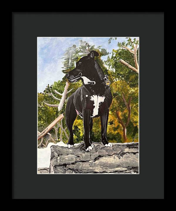 Alfie - Framed Print