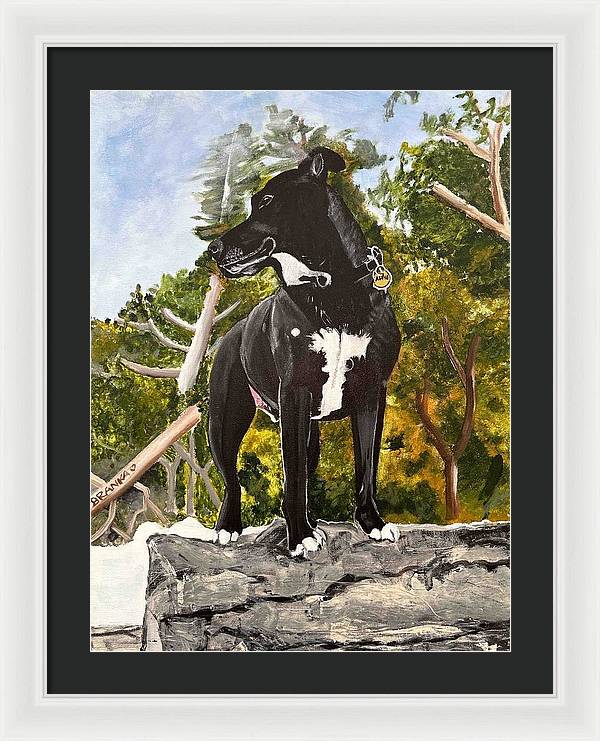 Alfie - Framed Print