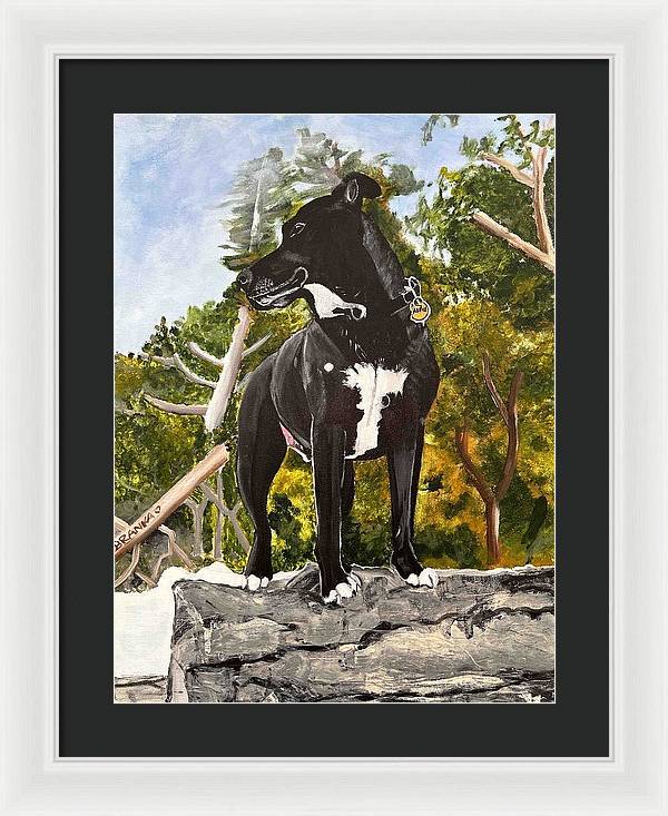 Alfie - Framed Print