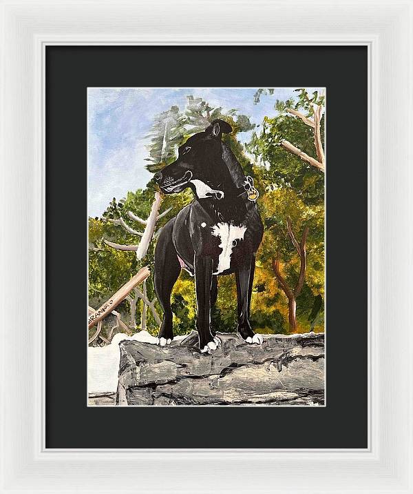 Alfie - Framed Print