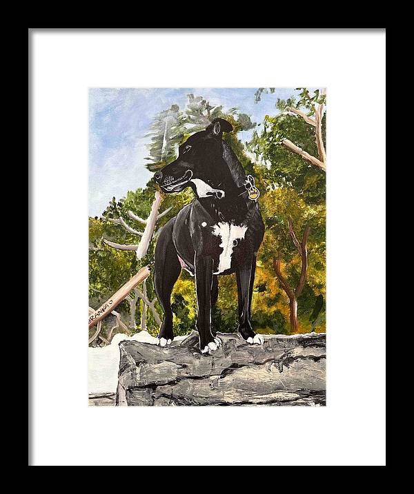 Alfie - Framed Print