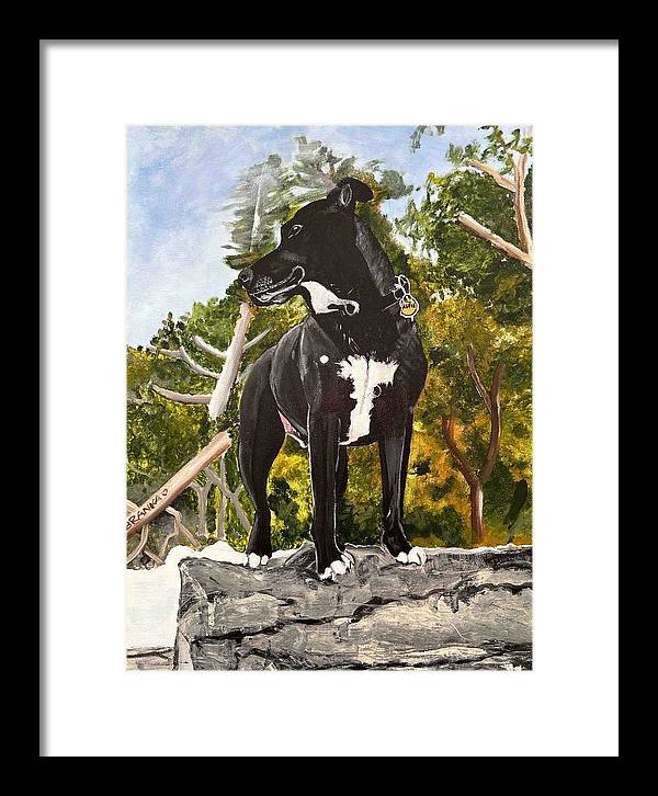 Alfie - Framed Print