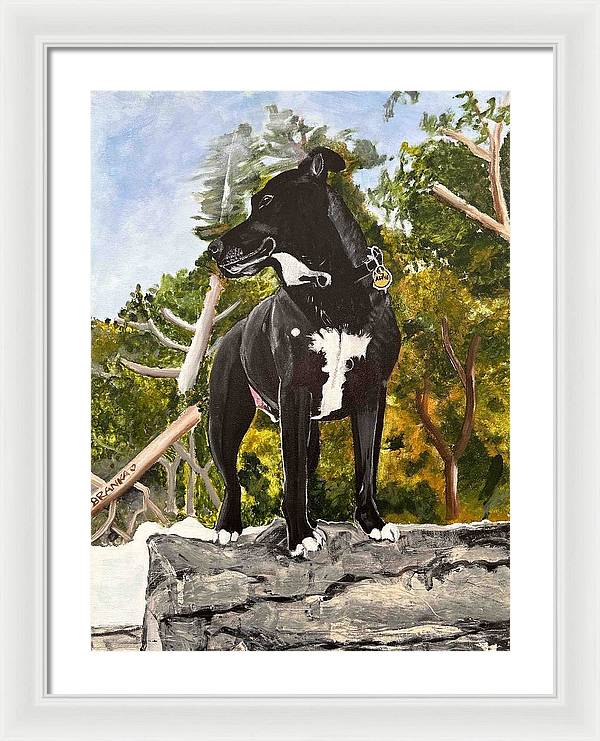 Alfie - Framed Print