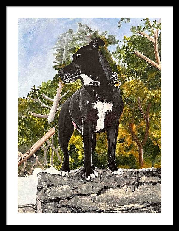 Alfie - Framed Print