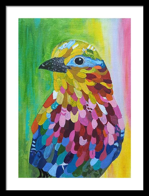 Colourful feather bird - Framed Print