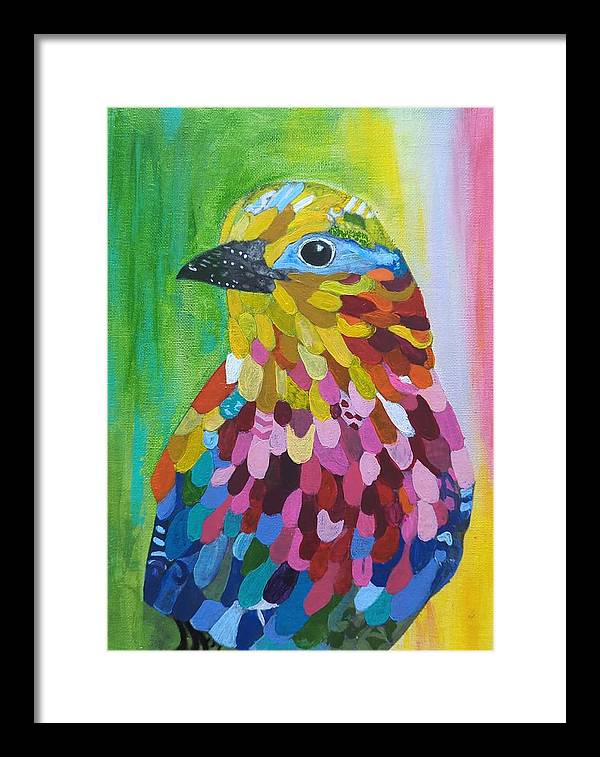 Colourful feather bird - Framed Print