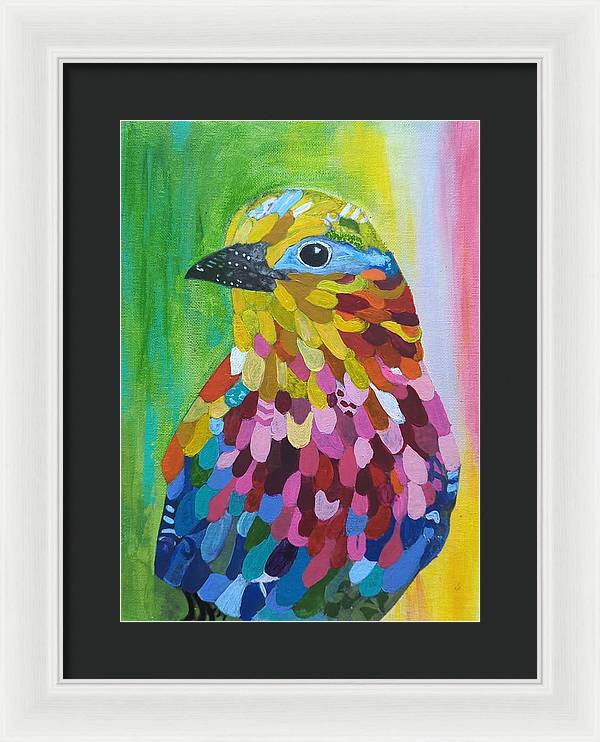 Colourful feather bird - Framed Print