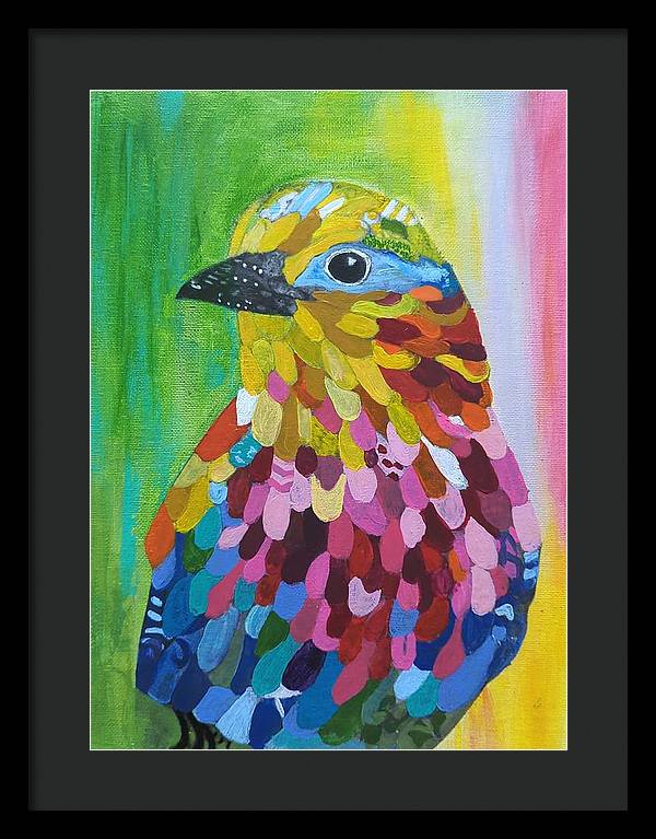 Colourful feather bird - Framed Print