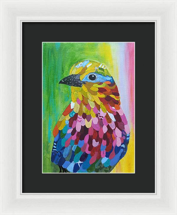 Colourful feather bird - Framed Print