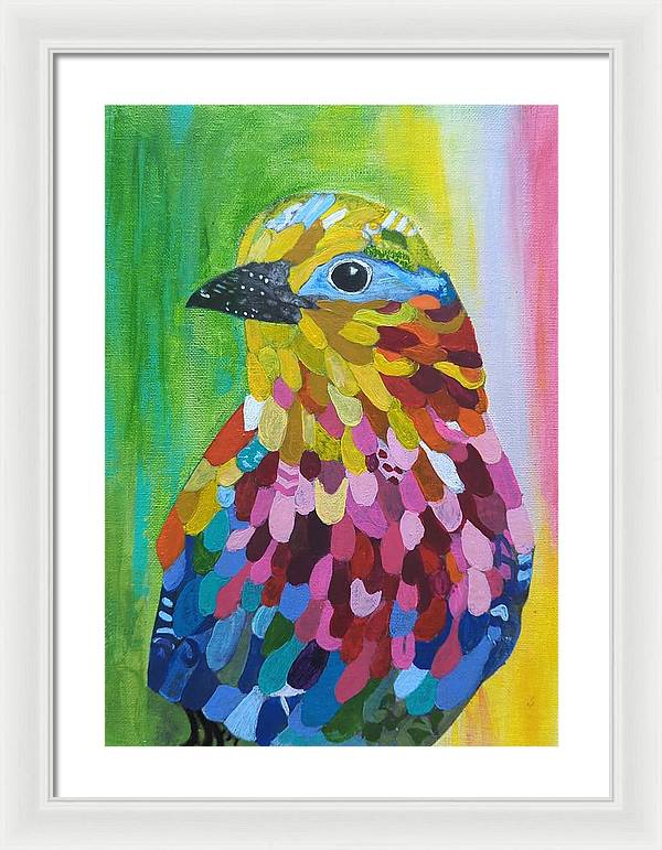 Colourful feather bird - Framed Print