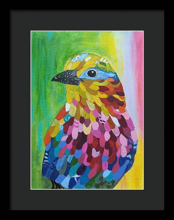 Colourful feather bird - Framed Print