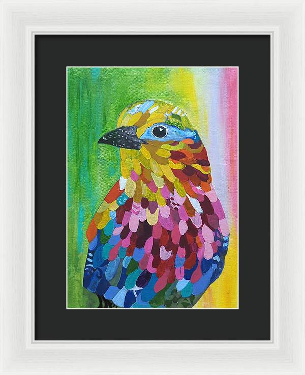 Colourful feather bird - Framed Print