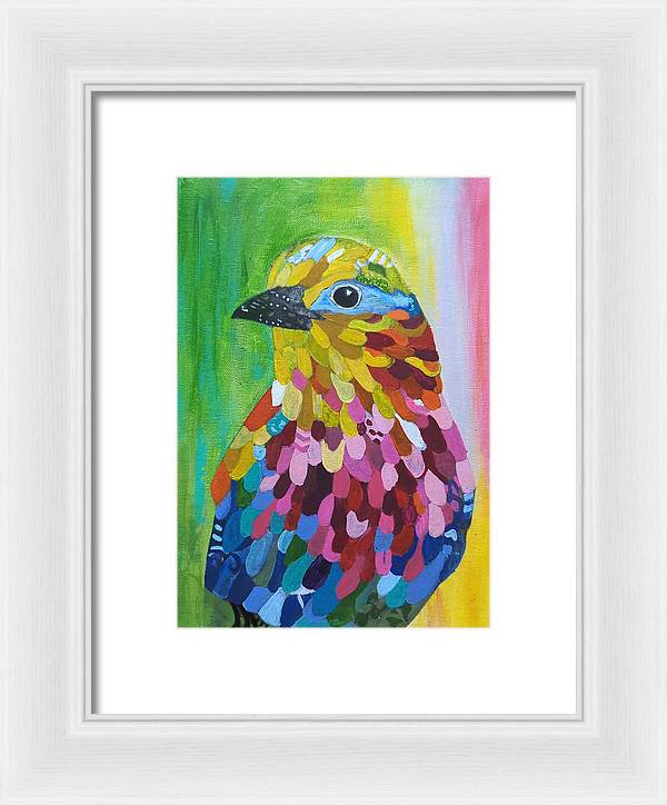 Colourful feather bird - Framed Print