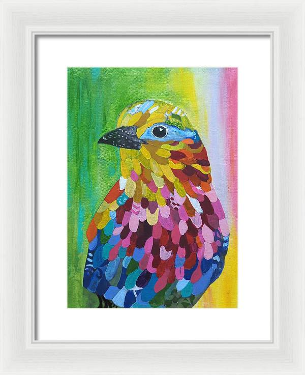 Colourful feather bird - Framed Print