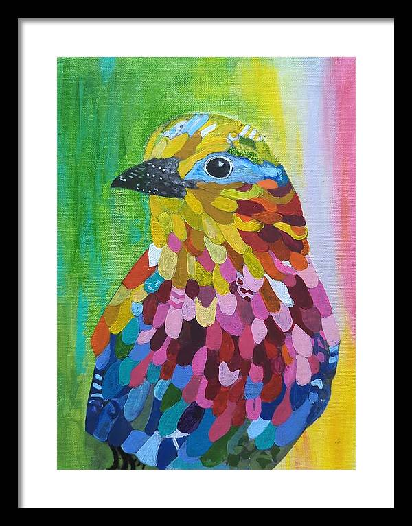 Colourful feather bird - Framed Print