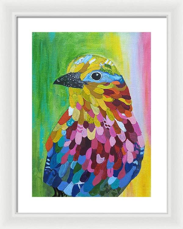 Colourful feather bird - Framed Print