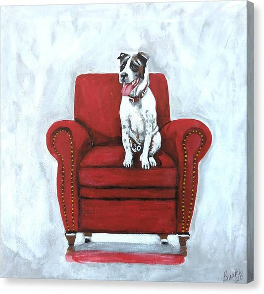 Dog on red chair - Canvas Print