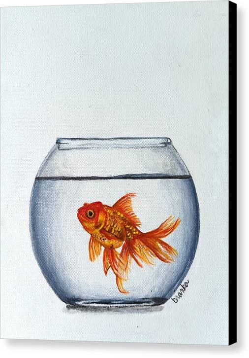 Fishy - Canvas Print