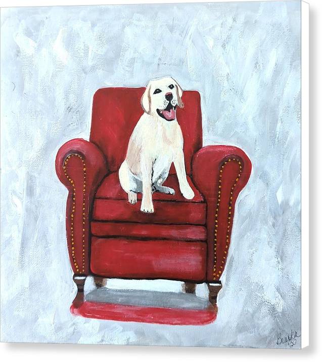Yellow lab on chair - Canvas Print