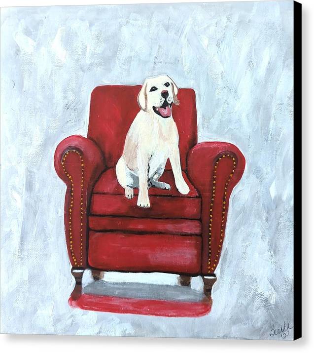 Yellow lab on chair - Canvas Print