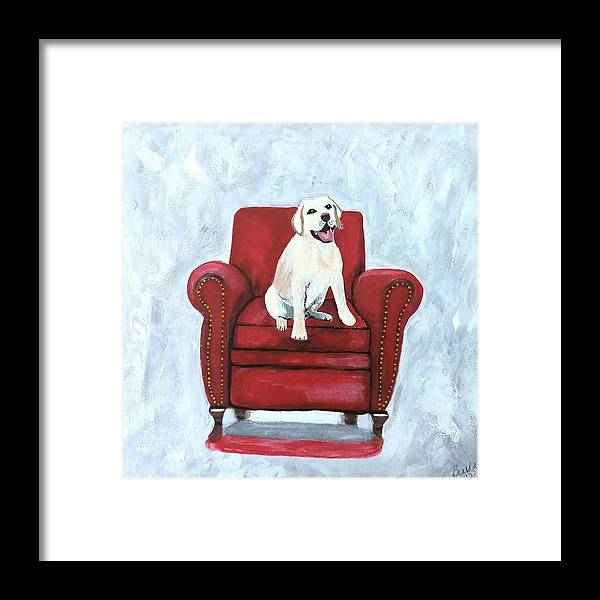 Yellow lab on chair - Framed Print