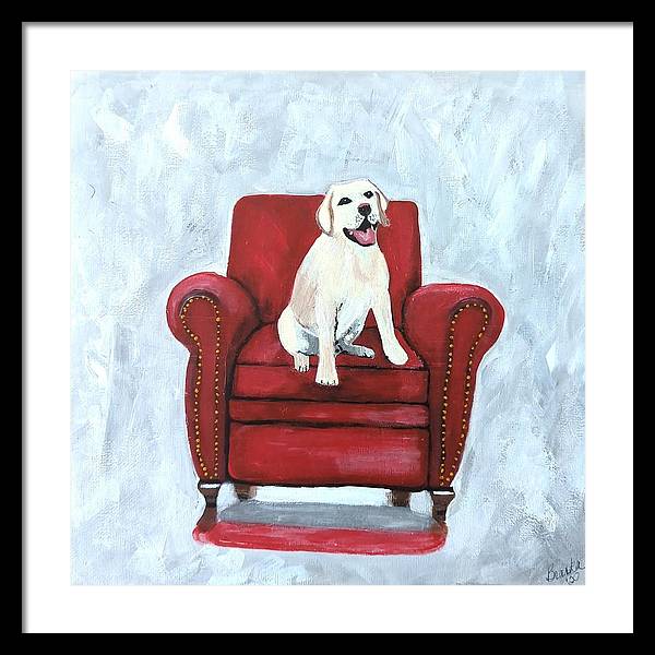 Yellow lab on chair - Framed Print