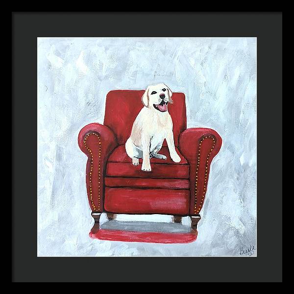 Yellow lab on chair - Framed Print