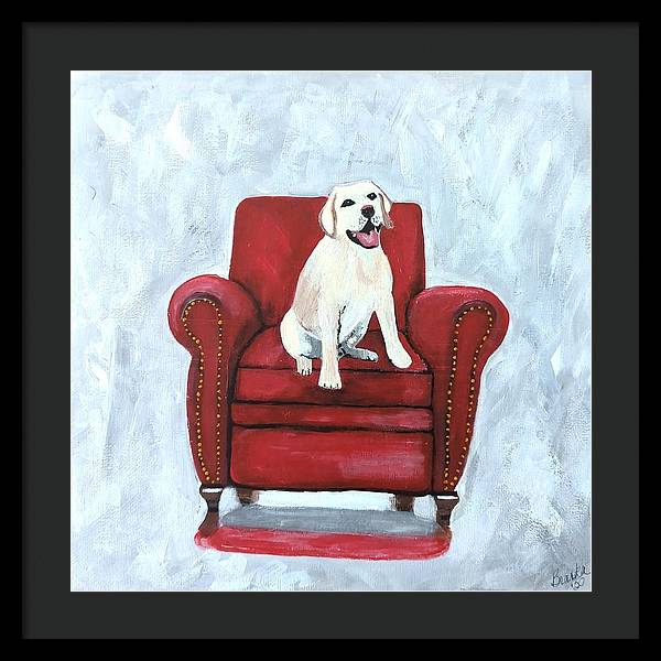 Yellow lab on chair - Framed Print