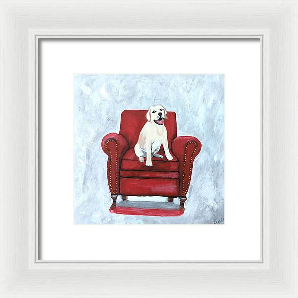 Yellow lab on chair - Framed Print