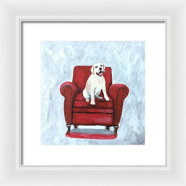 Yellow lab on chair - Framed Print