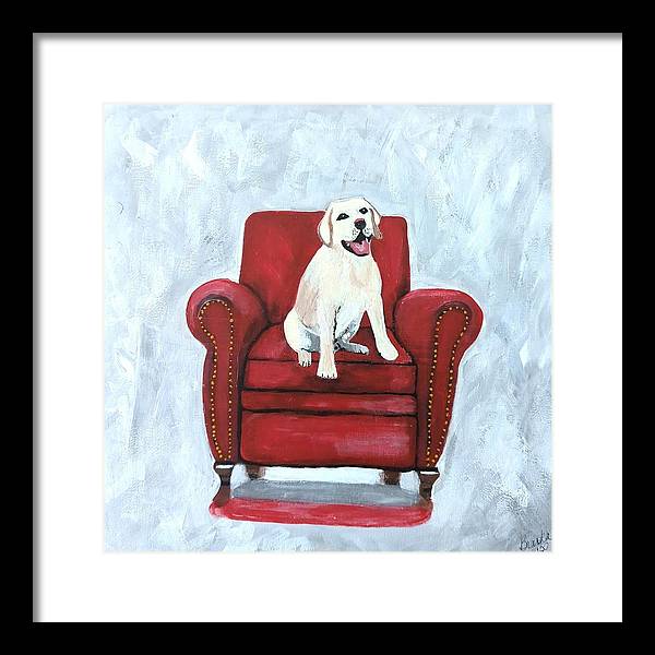 Yellow lab on chair - Framed Print