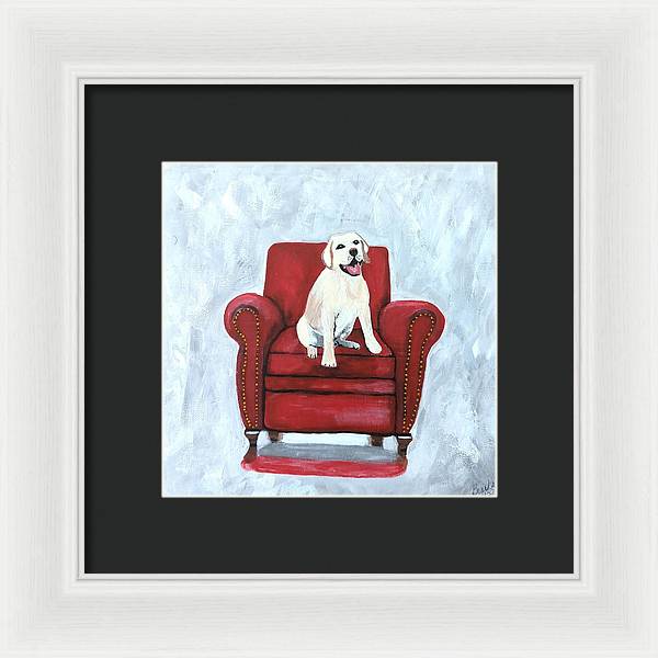 Yellow lab on chair - Framed Print