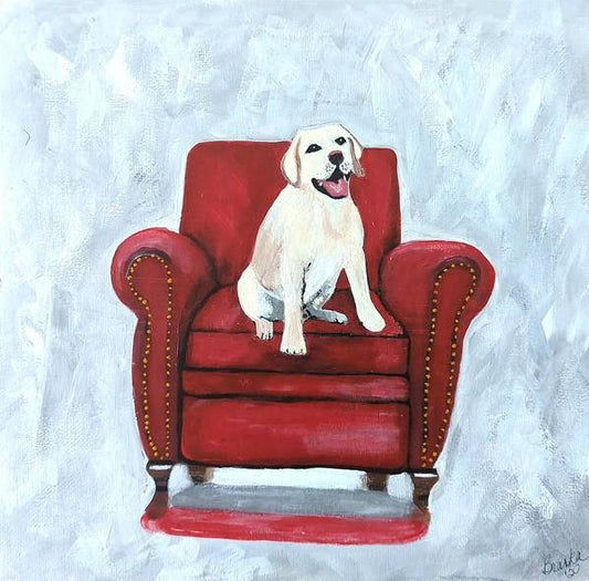 Yellow lab on chair - Art Print