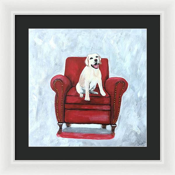 Yellow lab on chair - Framed Print