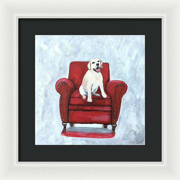 Yellow lab on chair - Framed Print