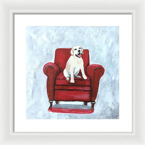 Yellow lab on chair - Framed Print