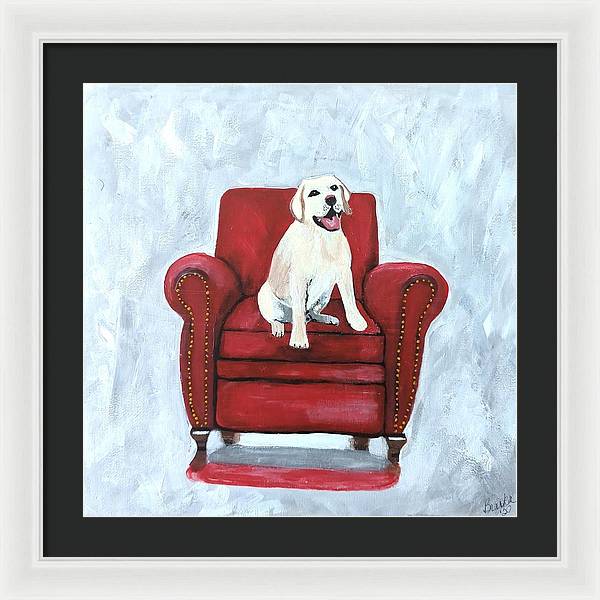 Yellow lab on chair - Framed Print