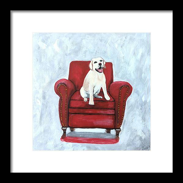 Yellow lab on chair - Framed Print