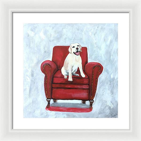 Yellow lab on chair - Framed Print