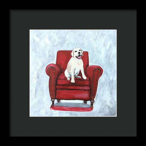 Yellow lab on chair - Framed Print