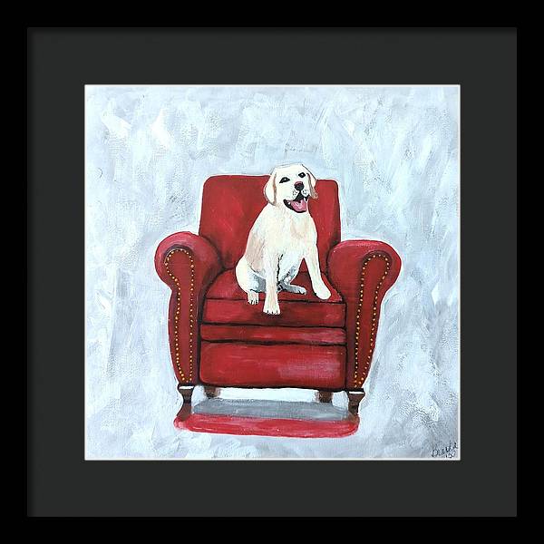 Yellow lab on chair - Framed Print